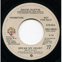 David Ruffin Break My Heart Vinyl 7" USED