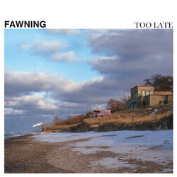 Fawning Too Late USED VINYL 12INCH 45 RPM EP
