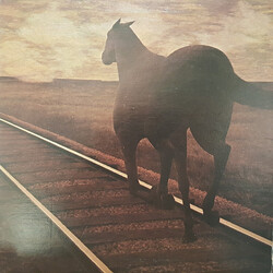 Bruce Cockburn Night Vision Vinyl LP USED