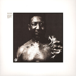 Muddy Waters After The Rain Vinyl LP USED