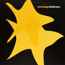 Trevor Loveys Feel The Horns Vinyl 12" USED