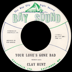 Clay Hunt Your Love's Gone Bad Vinyl 7" USED