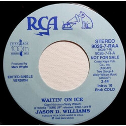 Jason D. Williams Waitin' On Ice USED VINYL 7INCH 45 RPM PROMO STEREO