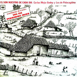 Carlos Mejía Godoy y Los De Palacagüina El Son Nuestro De Cada Dia Vinyl LP USED