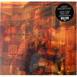 Dirty Projectors Sing The Melody Vinyl LP USED