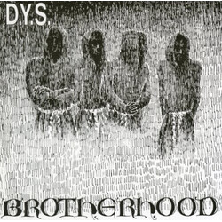 DYS Brotherhood Vinyl LP USED