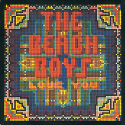 The Beach Boys Love You Vinyl LP USED