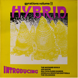 Various Gyrations Volume II Vinyl LP USED