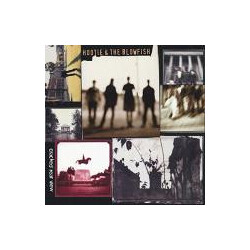 Hootie & The Blowfish Cracked Rear View Vinyl LP USED
