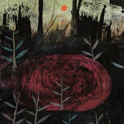 Razen Regression Vinyl LP USED