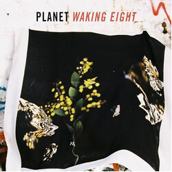 Planet (12) Waking Eight / Maybe Someday USED VINYL 12INCH COMPILATION LIMITED EDITION
