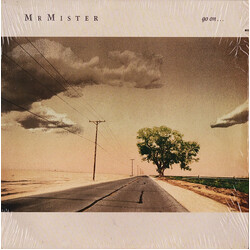 Mr. Mister Go On... Vinyl LP USED