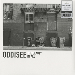 Oddisee The Beauty In All Vinyl LP USED