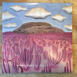 Post Animal When I Think Of You In A Castle Vinyl LP USED