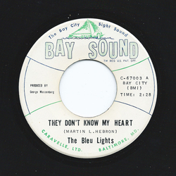 The Bleu Lights They Don't Know My Heart / Forever Vinyl 7" USED