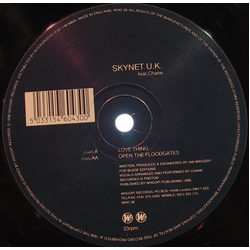 Skynet UK / Chane Love Thing / Open The Floodgates Vinyl 12" USED
