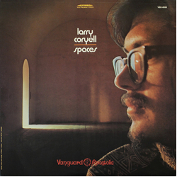Larry Coryell Spaces Vinyl LP USED