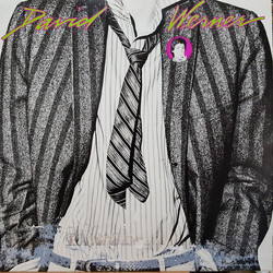 David Werner David Werner Vinyl LP USED