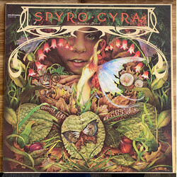 Spyro Gyra Morning Dance Vinyl LP USED