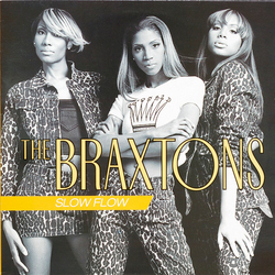 The Braxtons Slow Flow Vinyl 12" USED