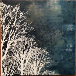 Wintersleep Wintersleep Vinyl LP USED