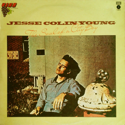 Jesse Colin Young The Soul Of A City Boy Vinyl LP USED