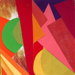 Neon Indian Psychic Chasms Vinyl LP USED