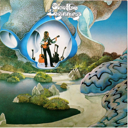Steve Howe Beginnings Vinyl LP USED