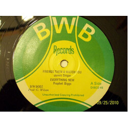 James Singer / Prophet Biggs Friends Them A Watch You / Everything New USED VINYL 12INCH