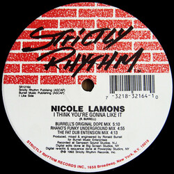 Nicole Lamons I Think You're Gonna Like It USED VINYL 12INCH 33 S RPM