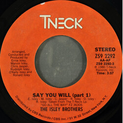 The Isley Brothers Say You Will USED VINYL 7INCH 45 RPM STYRENE STEREO