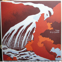Tidal R U Comin Vinyl 12" USED