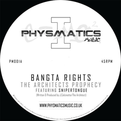 Bangta Rights Physmatics 1 Vinyl 12" USED