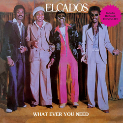 The Elcados What Ever You Need Vinyl LP USED
