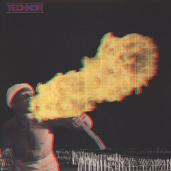 DTCHPLNES Technoir Vinyl LP USED