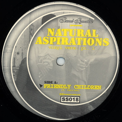 Theo Parrish Natural Aspirations (Vinyl Vers. Pt. 1) Vinyl 12" USED