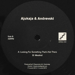 Ajukaja / Andrevski Looking For Something That's Not There Vinyl 12" USED