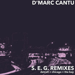D'Marc Cantu S.E.G. Remixes Vinyl 12" USED