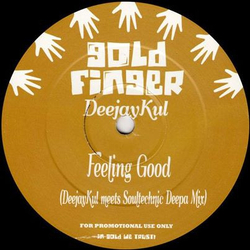 Deejaykul Feeling Good Vinyl 12" USED