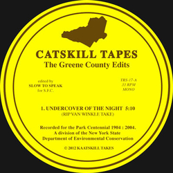 Various Kaatskill Takes : The Greene County Edits Vinyl 12" USED