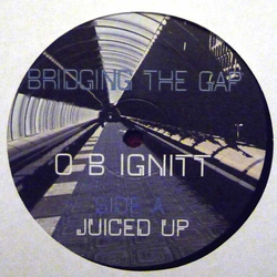 O B Ignitt Bridging The Gap Vinyl 12" USED