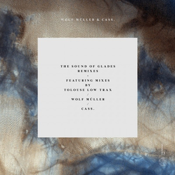 Wolf Müller / Cass. The Sound Of Glades Remixes Vinyl 12" USED