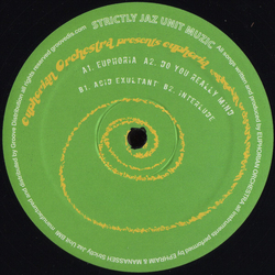 Euphorian Orchestra Euphoria Vinyl 12" USED