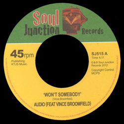 Audio (5) / Vince Broomfield Won't Somebody Vinyl 7" USED