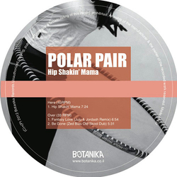 Polar Pair Hip Shakin' Mama Vinyl 12" USED