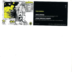 Theo Parrish Space Station / Going Through Changes Vinyl 12" USED