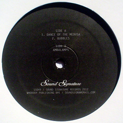 Theo Parrish Dance Of The Medusa Vinyl 12" USED
