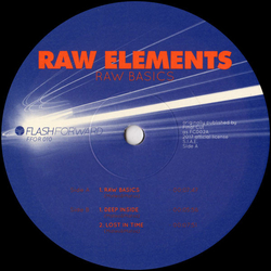 Raw Elements Raw Basics Vinyl 12" USED
