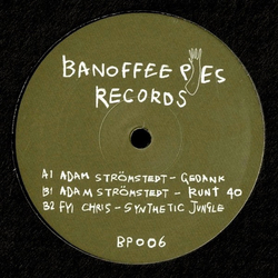 Adam Strömstedt / FYI Chris Synthetic Jungle - BP006 Vinyl 12" USED