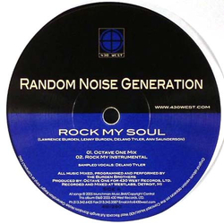 Random Noise Generation Rock My Soul Vinyl 12" USED